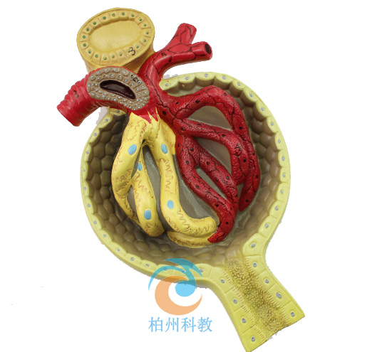 �IС��ģ��