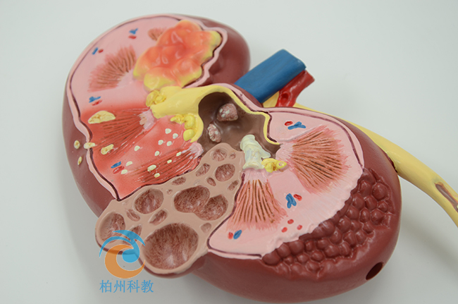 �I�K��������׃ģ��