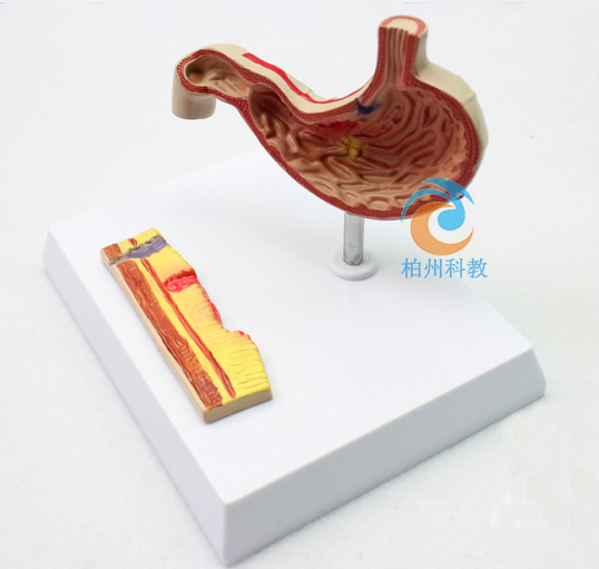 ����θģ��