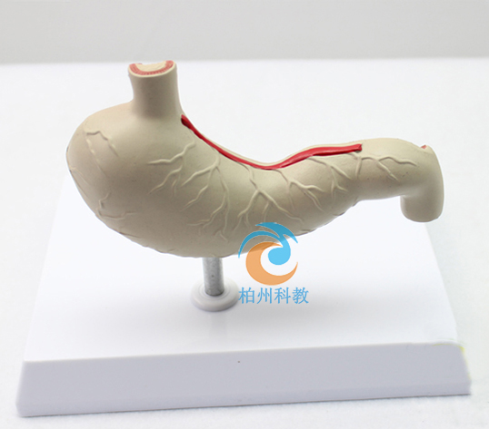 ����θģ��