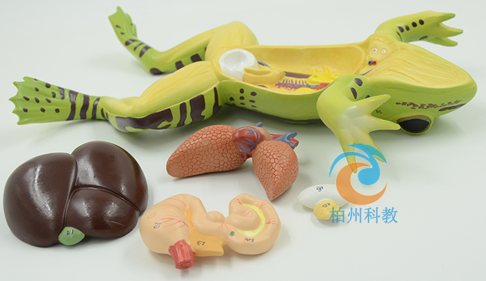 ���ܽ���ģ��