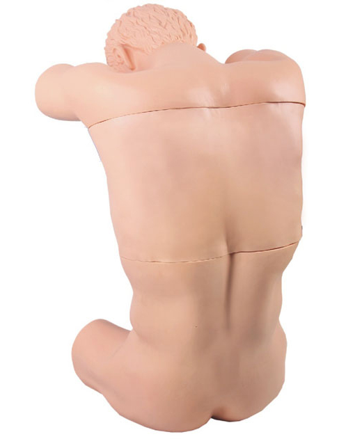 ��ǻ������������Ӗ(x��n)��ģ��