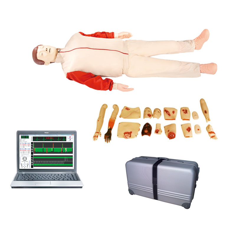 CPR850 �߼��ķΏ��K�c��(chu��ng)��Ӗ��ģ�M��