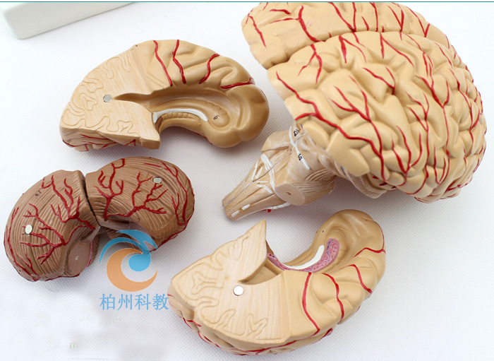 ���X��(d��ng)�}����(j��ng)�Xģ��