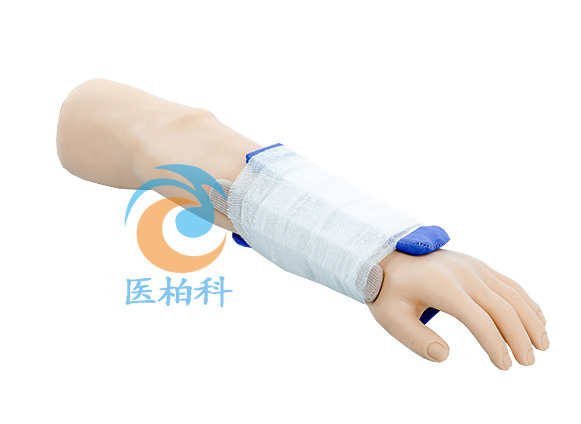 Colles�����Ϲ���̎��Ӗ(x��n)��ģ��