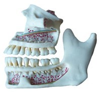 ���������M��(���(c��))