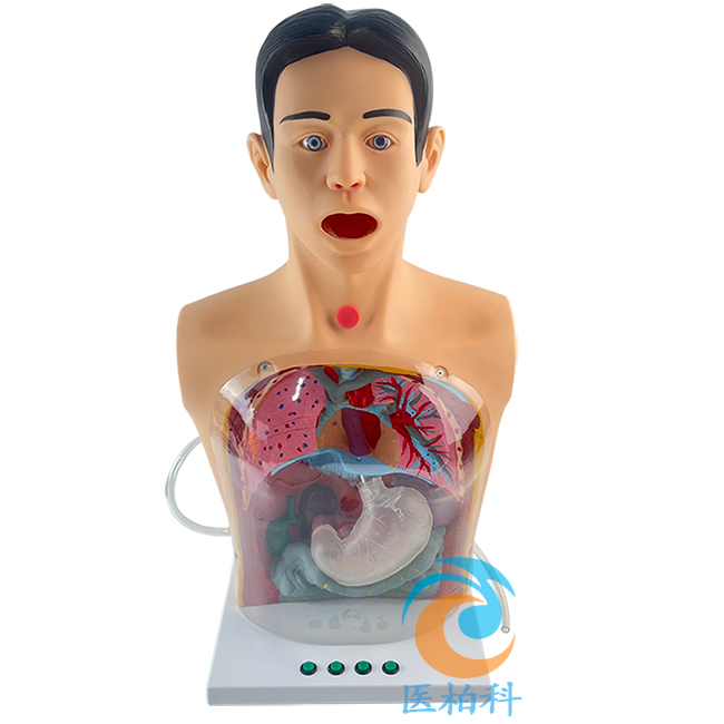 �߼�(j��)͸��ϴθģ��