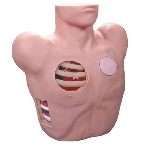 ��ǻ��������ģ��