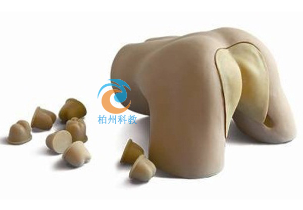 ǰ���ٙz��ģ��