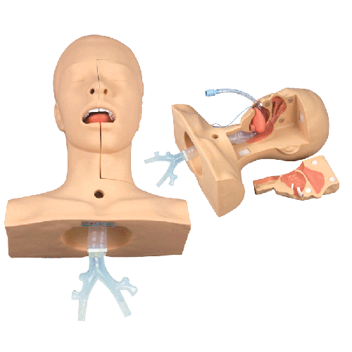 �߼���̵����(x��)ģ��