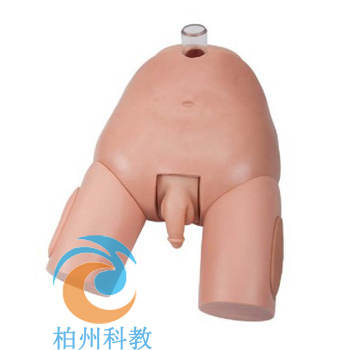 �߼����԰��״���ģ��