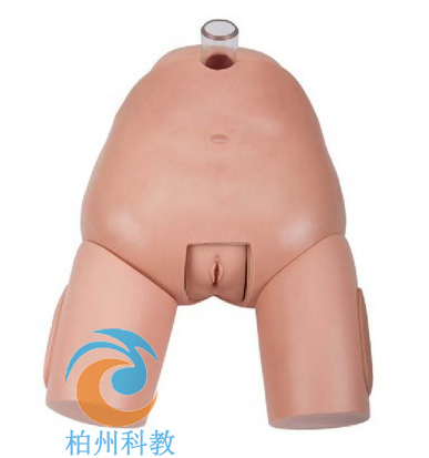 �߼�(j��)Ů�԰��״���ģ��