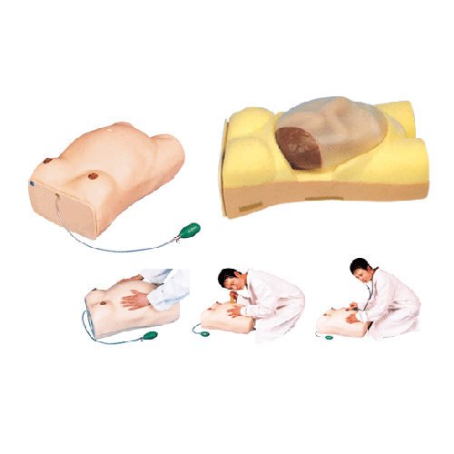 �߼���X�ЋD�z��ģ��