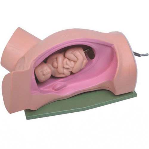 ����C�D(zhu��n)ʾ��ģ��