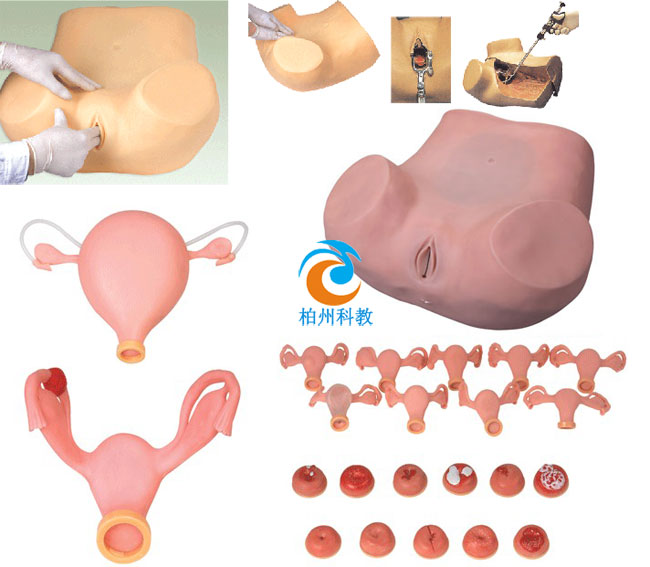 �߼�(j��)�D�ƙz��ģ��