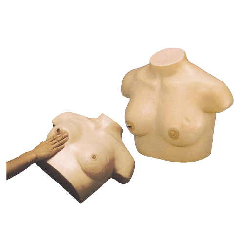 �߼�(j��)����ҕ�\�c�|�\ģ��