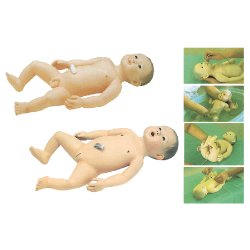 �߼�(j��)�냺�o(h��)��ģ��