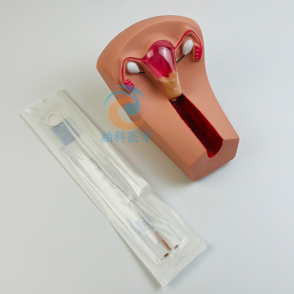 Ů�Ԍm�ȱ�������Ӗ��ģ��