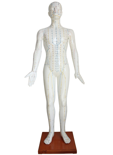 ��Ȼ�����wᘾ�ģ��178CM