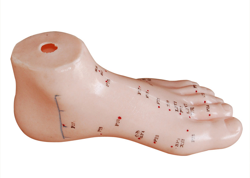 ��ᘾ�ģ�� 13cm