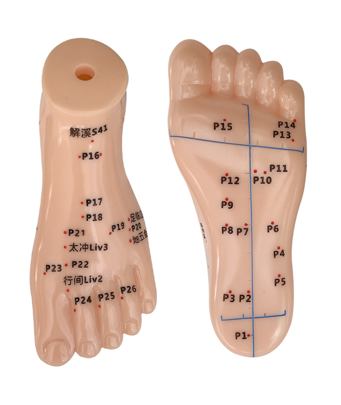 ��ᘾ�ģ��