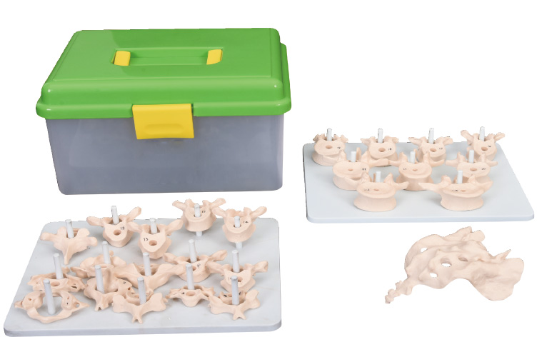 ��Ȼ����ɢ��ģ��