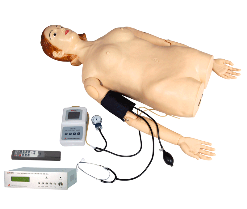 ��(sh��)���b��ʽ��X�����|�\��Ѫ���y(c��)��ģ�M��