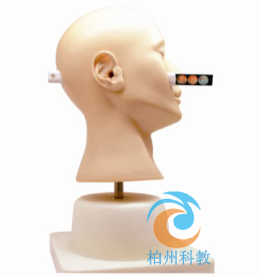 �߼����\��ģ��