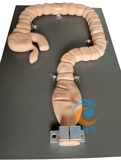 �Ҡ�Y(ji��)�c�R�z��ģ��