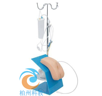 �߼����bʽŮ�Ԍ�(d��o)��ģ��