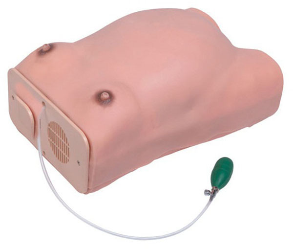 �߼��ЋD�z��ģ��