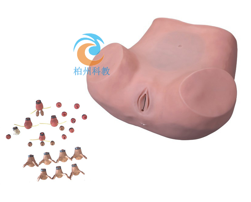 �߼��D�ƾC�ϙz��Ӗ(x��n)��ģ��