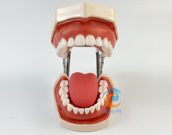 ���A�����o(h��)������ģ��