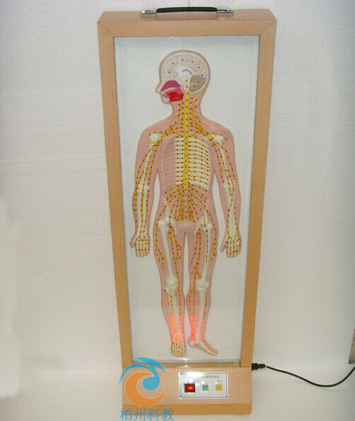 ����ʽȫ���܇���(j��ng)늄�ģ��