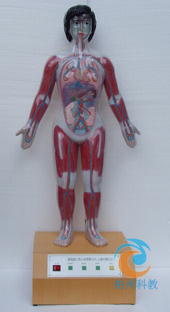 ΢��X���w�Ą������c����Сѭ�h(hu��n)��ʾģ��