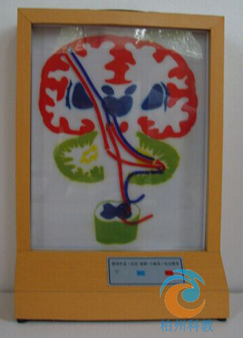 �F�w��ϵ��Ƥ�|(zh��)-�X��-С�Xϵ��늄�(d��ng)ģ��