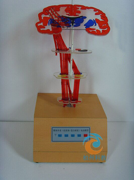 �F�w��ϵ���y���w-�n����늄�ģ��