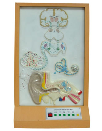  �X����(d��o)늄�(d��ng)ģ��