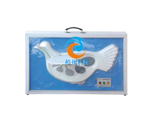 �����p�غ�����ʾ��