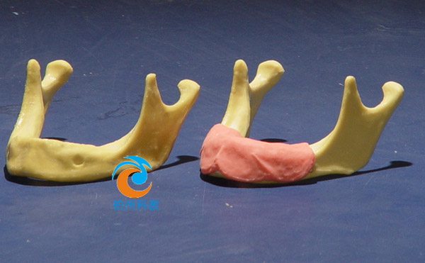 �������M�ǷNֲ����(x��)ģ��