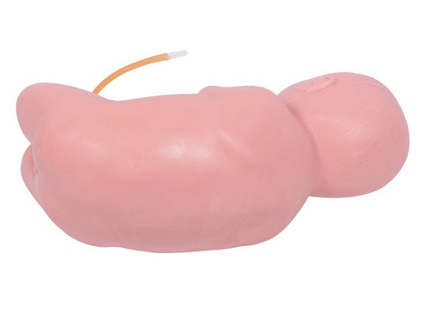 ��������׵����ģ��