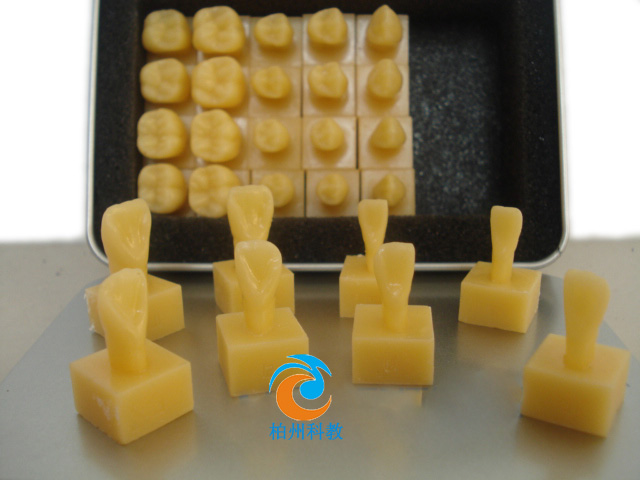 �o���������wģ�ͣ�1.2����