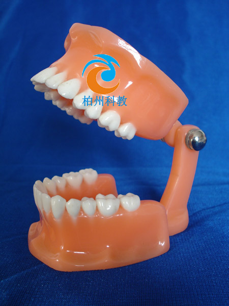 �pɫ����ģ�ͣ���frassaco�M�ܣ�