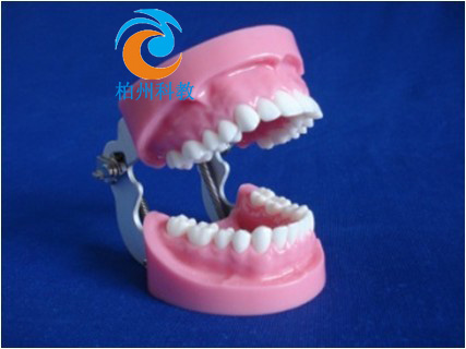 �pɫ����ģ�ͣ����M(j��n)FEҧ�ϼܣ�