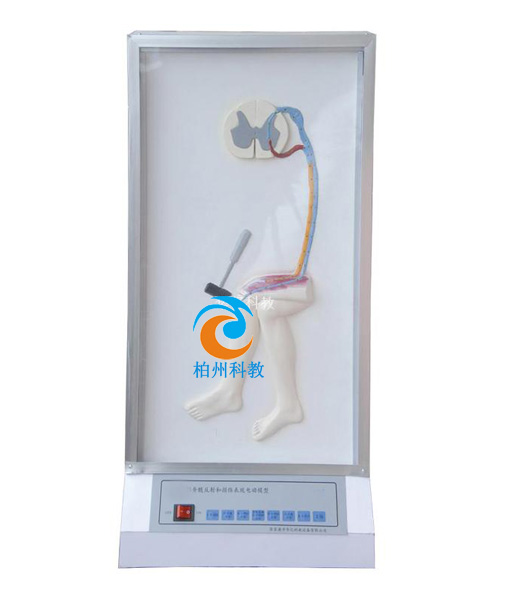 ����ķ���͓p�����F(xi��n)늄�(d��ng)ģ��