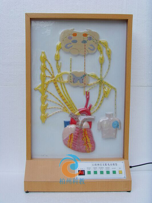 �ĵ���(j��ng)֧��늄�(d��ng)ģ��