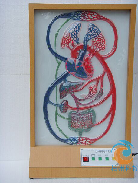 ����Сѭ�h(hu��n)늄�(d��ng)ģ��