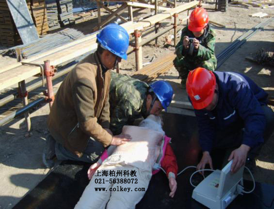 �˹�������ʾģ��