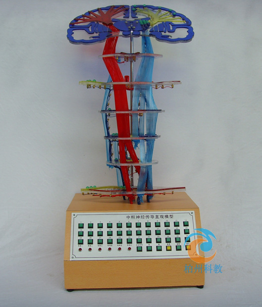 �И���(j��ng)����(d��o)늄�(d��ng)ģ��