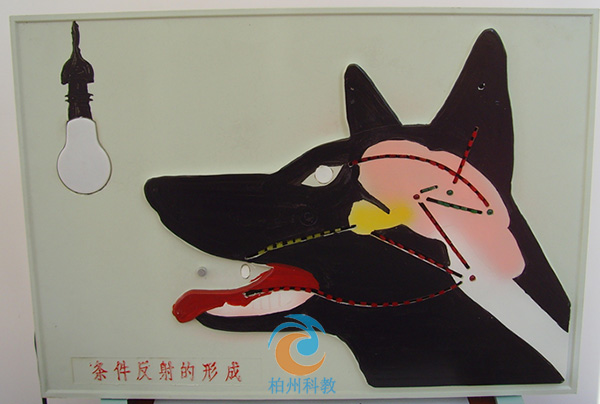 �l������늄�ģ��